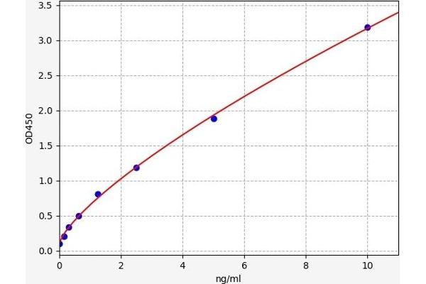 POFUT1 ELISA Kit