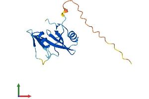 AlphaFold protein structure predicition of Mouse Recombinant Sh2d1b Protein, UniprotID O35324 (SH2D1B Protein (AA 1-132) (His tag))