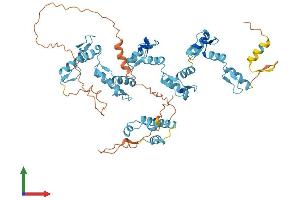 AlphaFold protein structure predicition of Human Recombinant ZNF354C Protein, UniprotID Q86Y25