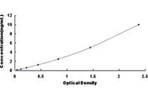 RCN2 ELISA Kit