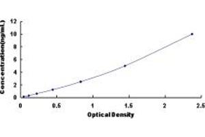 Typical standard curve (RCN2 ELISA Kit)