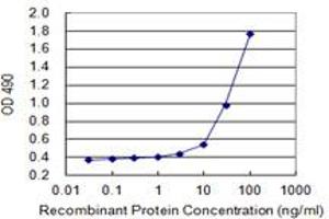 ELISA image for SPINK1 (Human) Matched Antibody Pair (ABIN1342278)