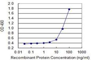 Sandwich ELISA detection sensitivity ranging from 1 ng/mL to 100 ng/mL. (SPINK1 (Human) Matched Antibody Pair)