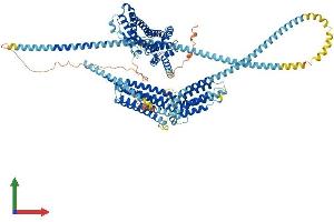 AlphaFold protein structure predicition of Mouse Recombinant Hip1 Protein, UniprotID Q8VD75 (HIP1 Protein (AA 1-1029) (His tag))