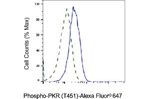 Validation of PKR knockdown using flow cytometry. (Recombinant EIF2AK2 antibody  (pThr451))