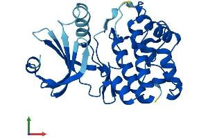 Protein Structure (PS) image for Testis-Specific Serine Kinase 3 (TSSK3) (AA 1-268) protein (His tag) (ABIN7544882)