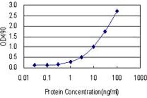 Sandwich ELISA detection sensitivity ranging from 0.