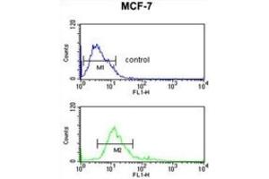 Flow Cytometry (FACS) image for anti-IMP (Inosine 5'-Monophosphate) Dehydrogenase 2 (IMPDH2) antibody (ABIN3003184) (IMPDH2 antibody)