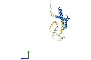 AlphaFold protein structure predicition of Human Recombinant HES7 Protein, UniprotID Q9BYE0 (HES7 Protein (AA 1-225) (His tag))