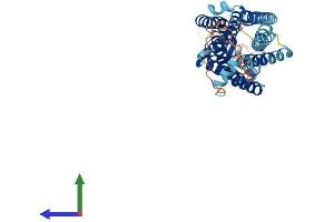 AlphaFold protein structure predicition of Mouse Recombinant Nmur1 Protein, UniprotID O55040