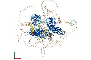 AlphaFold protein structure predicition of Mouse Recombinant Hfm1 Protein, UniprotID D3Z4R1 (HFM1 Protein (AA 1-1434) (His tag))