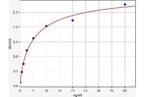 Synaptophysin ELISA Kit