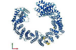 AlphaFold protein structure predicition of Human Recombinant XPOT Protein, UniprotID O43592