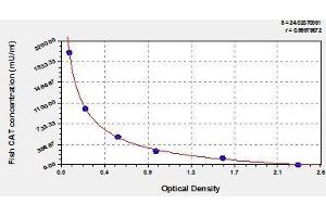 Typical standard curve (Catalase ELISA Kit)