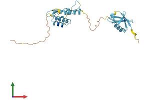 AlphaFold protein structure predicition of Human Recombinant UBTD1 Protein, UniprotID Q9HAC8 (UBTD1 Protein (AA 1-227) (His tag))