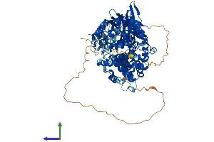 AlphaFold protein structure predicition of Human Recombinant AOPEP Protein, UniprotID Q8N6M6