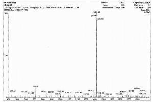 Image no. 2 for Cross-Linked C-Telopeptides of Type I Collagen (CTX-I) peptide (BSA) (ABIN5665950) (Cross-Linked C-Telopeptides of Type I Collagen (CTX-I) peptide (BSA))