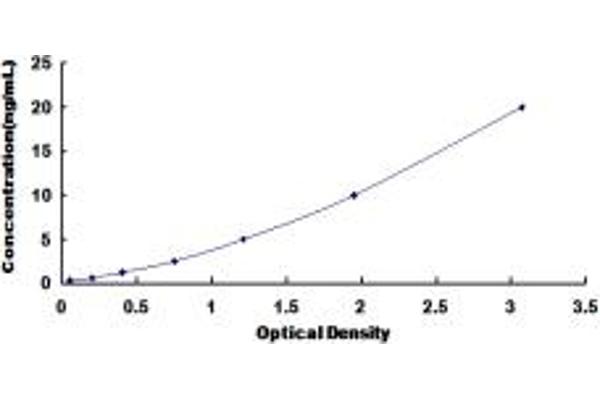 Slc30a3 ELISA Kit