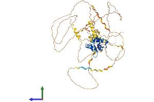 AlphaFold protein structure predicition of Mouse Recombinant Erf Protein, UniprotID P70459