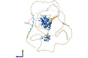 AlphaFold protein structure predicition of Human Recombinant MEX3C Protein, UniprotID Q5U5Q3