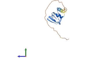 AlphaFold protein structure predicition of Human Recombinant LSM4 Protein, UniprotID Q9Y4Z0