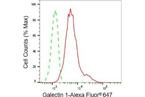 Flow cytometric analysis of Galectin 1 expression in C2C12 cells using Galectin 1 antibody (ABIN7799242), 1:2,000). (Recombinant LGALS1/Galectin 1 antibody)