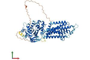 AlphaFold protein structure predicition of Human Recombinant ABCG4 Protein, UniprotID Q9H172