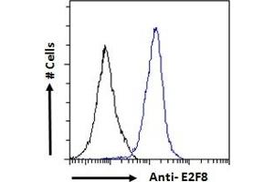 ABIN570707 Flow cytometric analysis of paraformaldehyde fixed A431 cells (blue line), permeabilized with 0. (E2F8 antibody  (Internal Region))