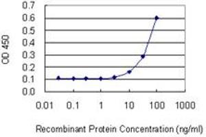 Detection limit for recombinant GST tagged DDIT4L is 3 ng/ml as a capture antibody. (DDIT4L antibody  (AA 94-193))