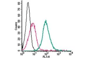 anti-Poliovirus Receptor-Related 1 (Herpesvirus Entry Mediator C) (PVRL1) (AA 177-190), (Extracellular) antibody (FITC)