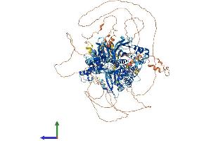 AlphaFold protein structure predicition of Human Recombinant HFM1 Protein, UniprotID A2PYH4 (HFM1 Protein (AA 1-1435) (His tag))