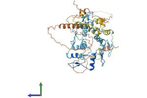 AlphaFold protein structure predicition of Human Recombinant ZNF230 Protein, UniprotID Q9UIE0 (ZNF230 Protein (AA 1-474) (His tag))