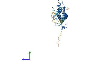 AlphaFold protein structure predicition of Mouse Recombinant Trim40 Protein, UniprotID Q3UWA4 (TRIM40 Protein (AA 1-246) (His tag))