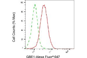 Flow cytometric analysis of GBE1 expression in HepG2 cells using GBE1 antibody (ABIN7798727), 1:1,000). (GBE1 antibody)