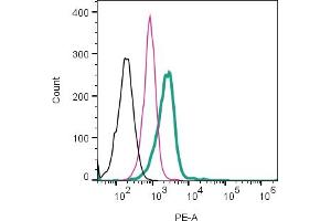 Cell surface detection of GLUT3 by direct flow cytometry in live intact human  monocytic leukemia cell line: + Rabbit IgG Isotype Control-PE (ABIN7582046).