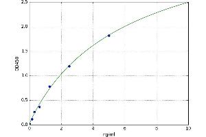phospholipase A2, Group IVD (Cytosolic) (PLA2G4D) ELISA Kit