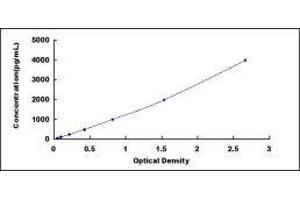 ELISA image for BCL2-Associated X Protein (BAX) ELISA Kit (ABIN416240)