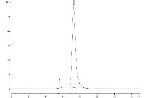 Size-exclusion chromatography-High Pressure Liquid Chromatography (SEC-HPLC) image for Interleukin 1 Receptor Accessory Protein (IL1RAP) (AA 21-359) protein (Fc Tag) (ABIN7275029)