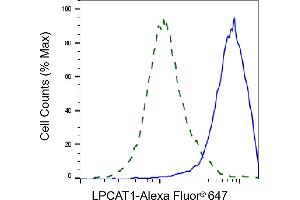Flow cytometric analysis of LPCAT1 expression in HepG2 cells using LPCAT1 antibody (ABIN7799305), 1:2,000). (Recombinant LPCAT1 antibody)