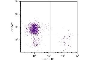 Chicken peripheral blood lymphocytes were stained with Mouse Anti-Chicken Bu-1-FITC.