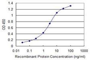 Detection limit for recombinant GST tagged GLS is 0. (Glutaminase antibody  (AA 580-669))
