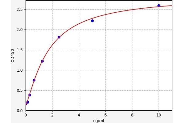 MEP1A ELISA Kit