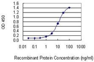 Detection limit for recombinant GST tagged TBX22 is 0. (T-Box 22 antibody  (AA 431-519))
