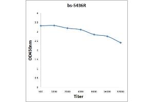 Antigen: 0. (ASK1 antibody  (pSer83))