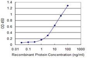 Detection limit for recombinant GST tagged IL1A is 0. (IL1A antibody  (AA 172-271))