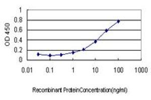 Detection limit for recombinant GST tagged RAB17 is approximately 1ng/ml as a capture antibody. (RAB17 antibody  (AA 1-212))