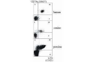 Flow Cytometry (FACS) image for anti-Complement Component (3d/Epstein Barr Virus) Receptor 2 (CR2) antibody (ABIN238434) (CD21 antibody)