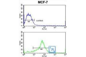 TIMP3 Antibody (Center) flow cytometric analysis of MCF-7 cells (bottom histogram) compared to a negative control cell (top histogram).