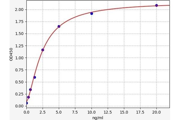 Adenosine A3 Receptor ELISA Kit