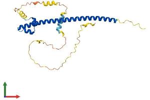 Protein Structure (PS) image for Neural Retina Leucine Zipper (NRL) (AA 1-237) protein (His tag) (ABIN7549873)